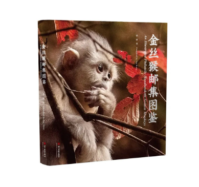 微信截图_20230616145902.png