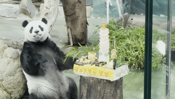 UID20230706200255893481.gif