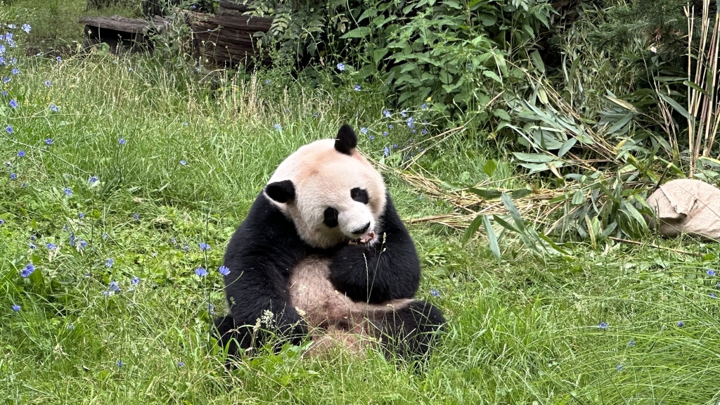 吃蛋糕.jpg
