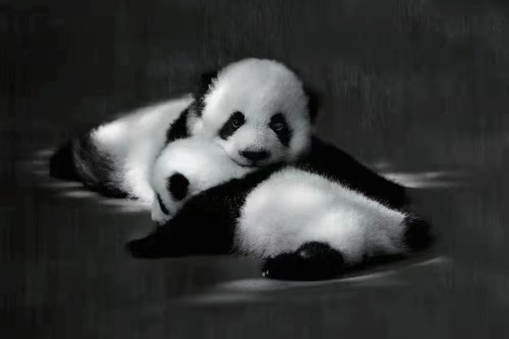 微信图片_20230811202717.jpg