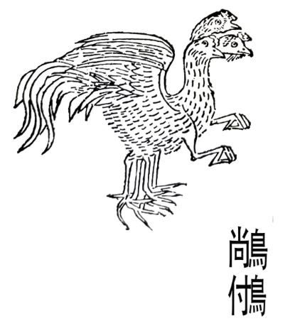 李61.jpg