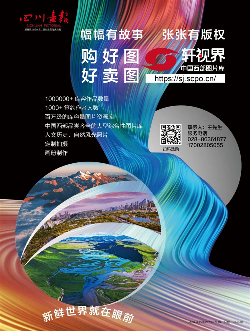 1694687635962755.jpg 小图800.jpg