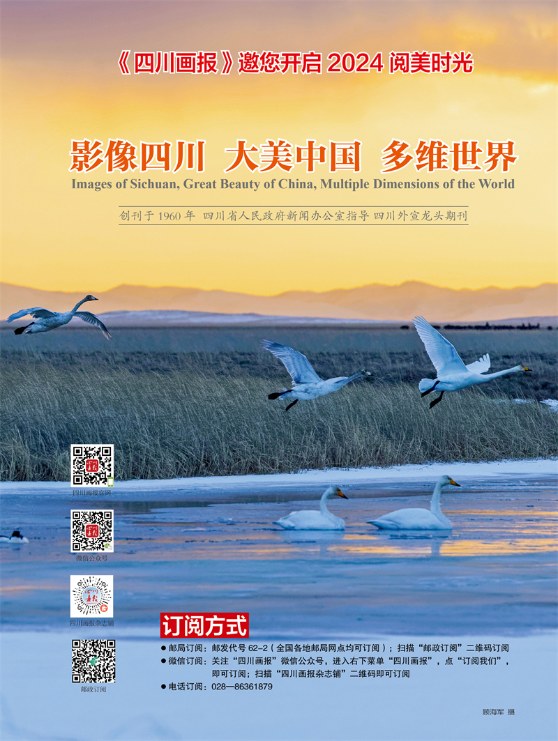 画报订阅800.jpg