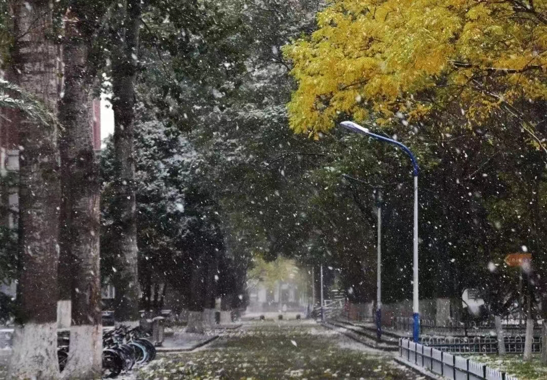 1706092905278234.jpg 微信图片_20240124183836.jpg