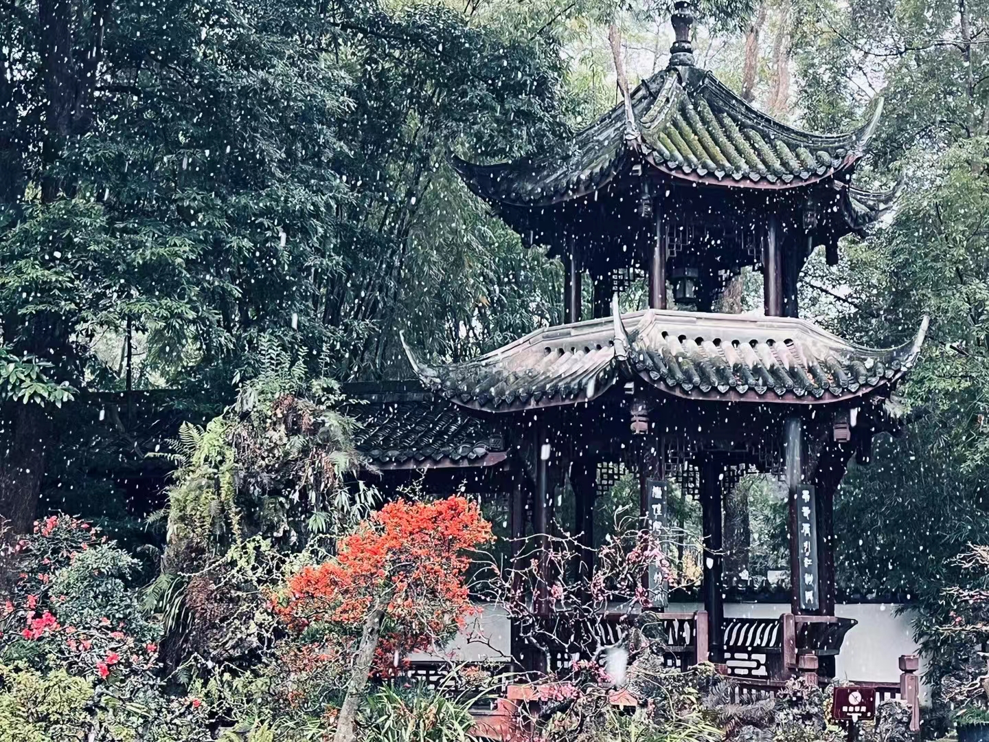 1706092954844501.jpg 微信图片_20240124184208.jpg