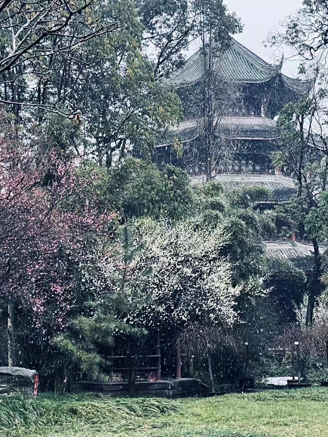 1706093038347682.jpg 微信图片_20240124184211.jpg