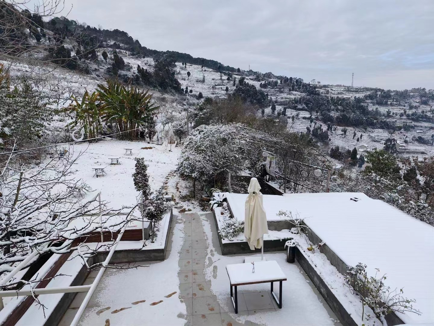 1706093213737612.jpg 微信图片_20240124183839.jpg