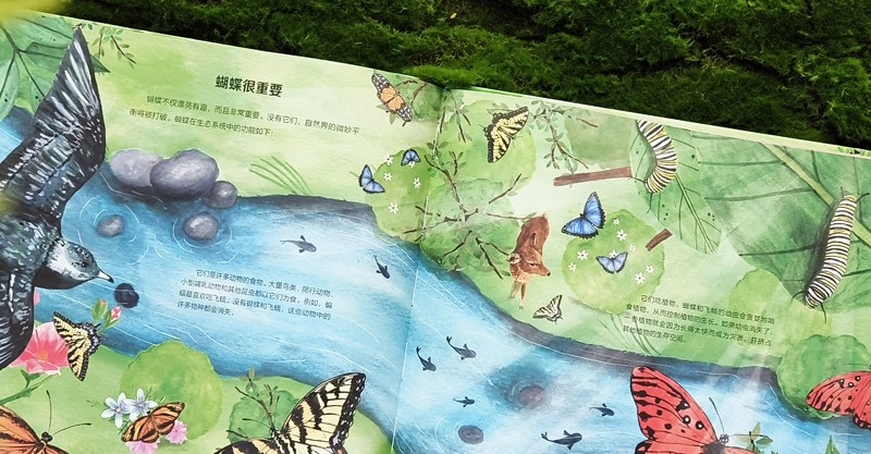 29665168-5_u_1702364442_副本.jpg