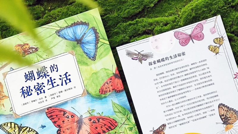 29665168-3_u_1702364442_副本.jpg