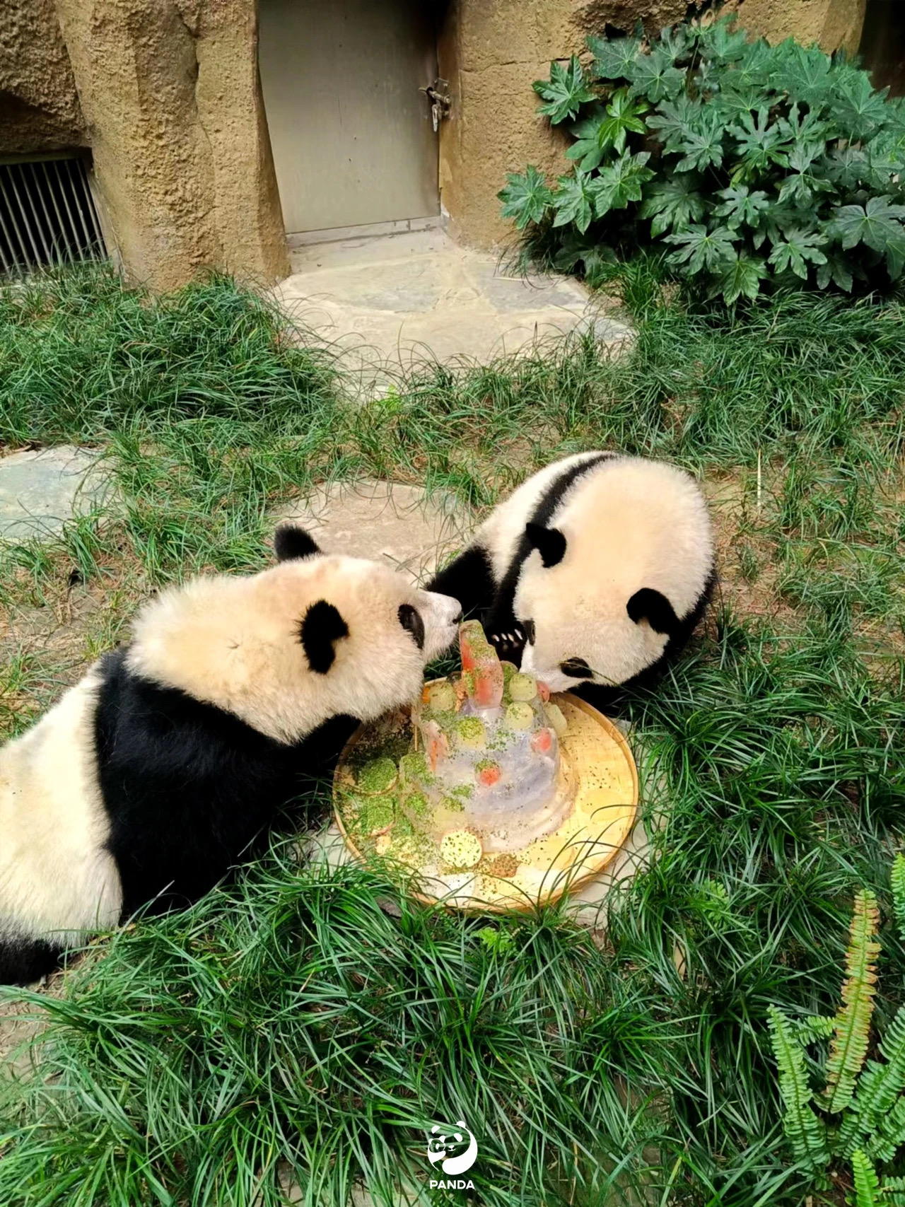 1724830130297832.jpeg WechatIMG46.jpeg