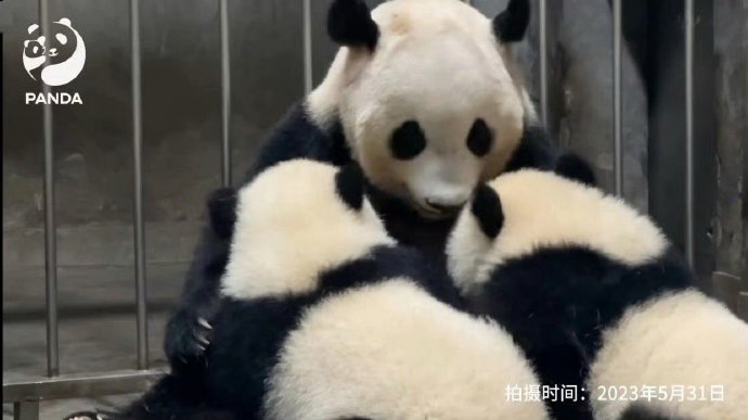 1724830143811006.jpg 0070G3wCly1ht2n0rsr13j30yi0jdjtm.jpg