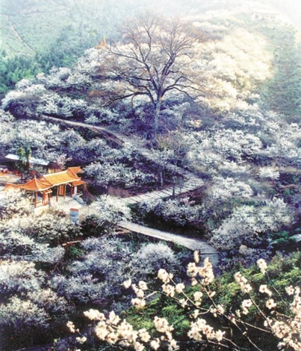 1729614558913345.jpg 梅关古道.jpg