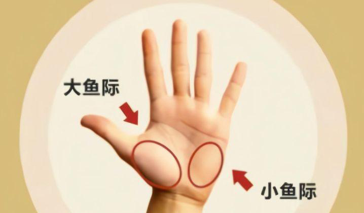 1732086375923463.jpeg 02.jpeg