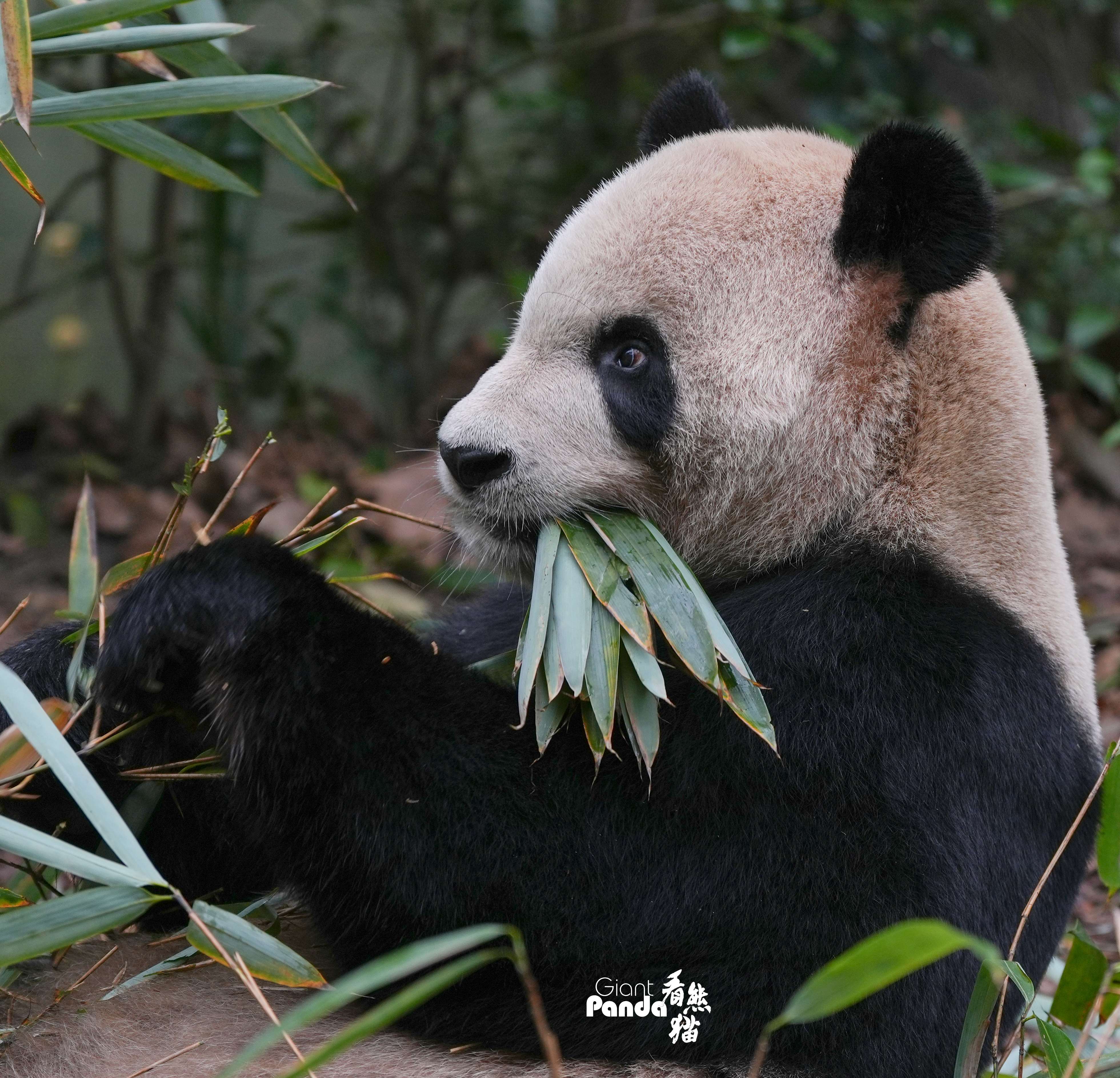 DSC07958_副本_副本.jpg