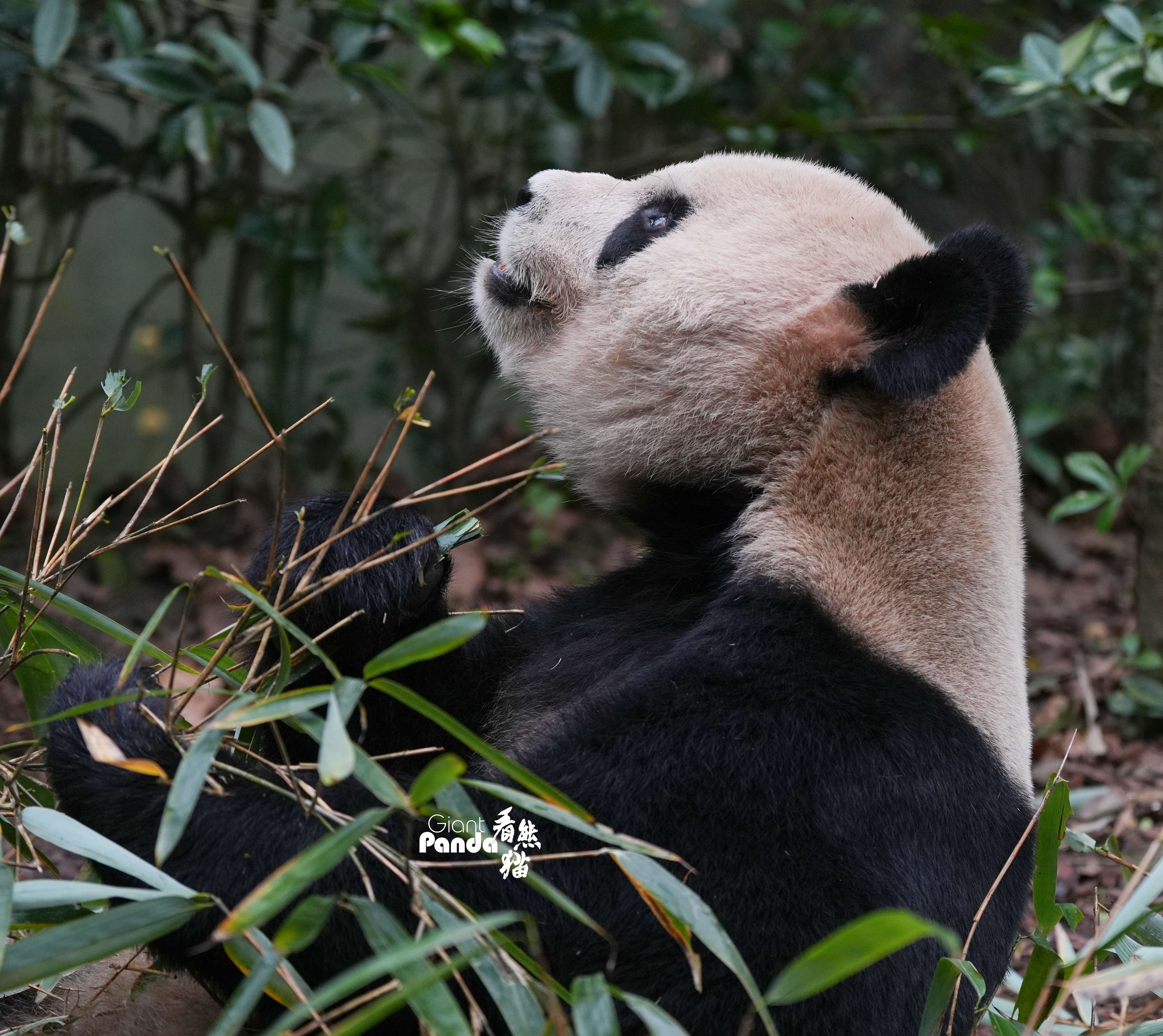 DSC07983_副本_副本.jpg