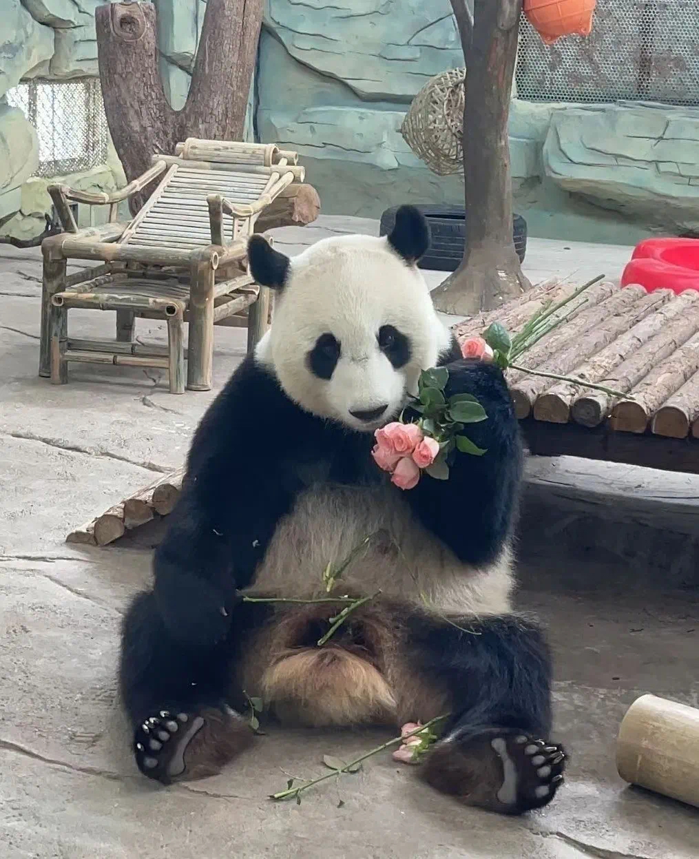 1740731848281773.jpeg WechatIMG1306.jpeg