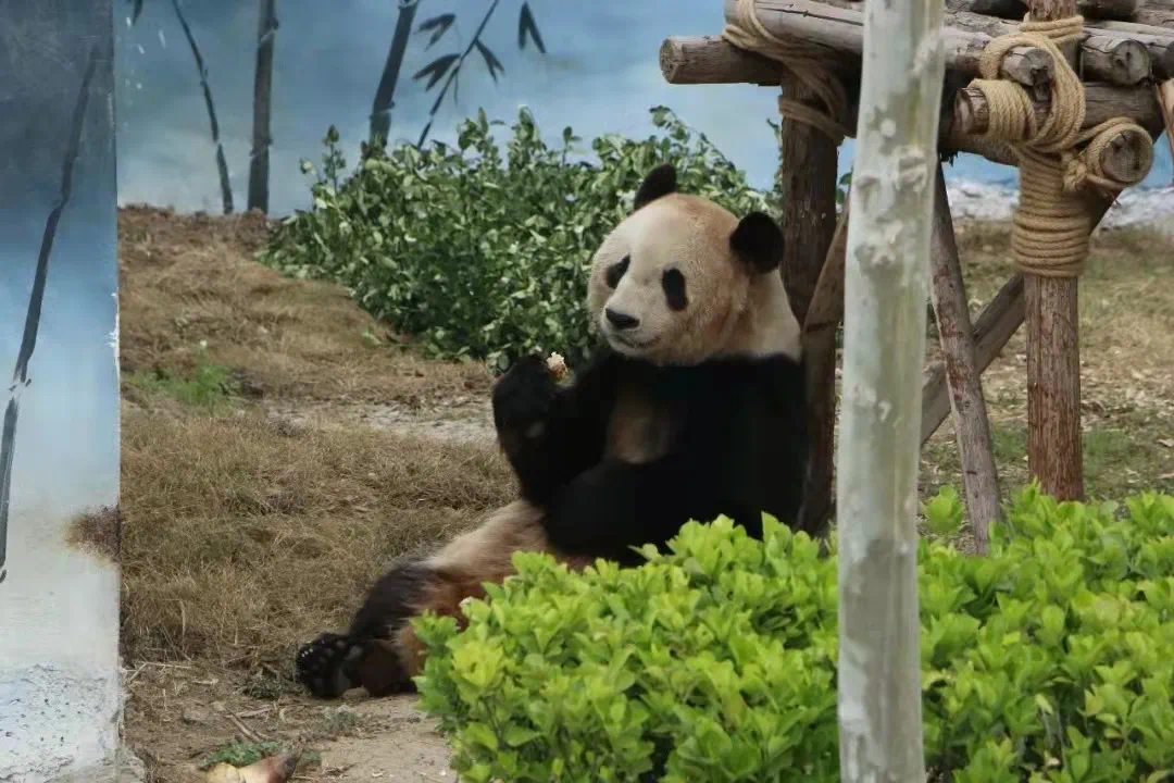 1740731877839044.jpeg WechatIMG1311.jpeg