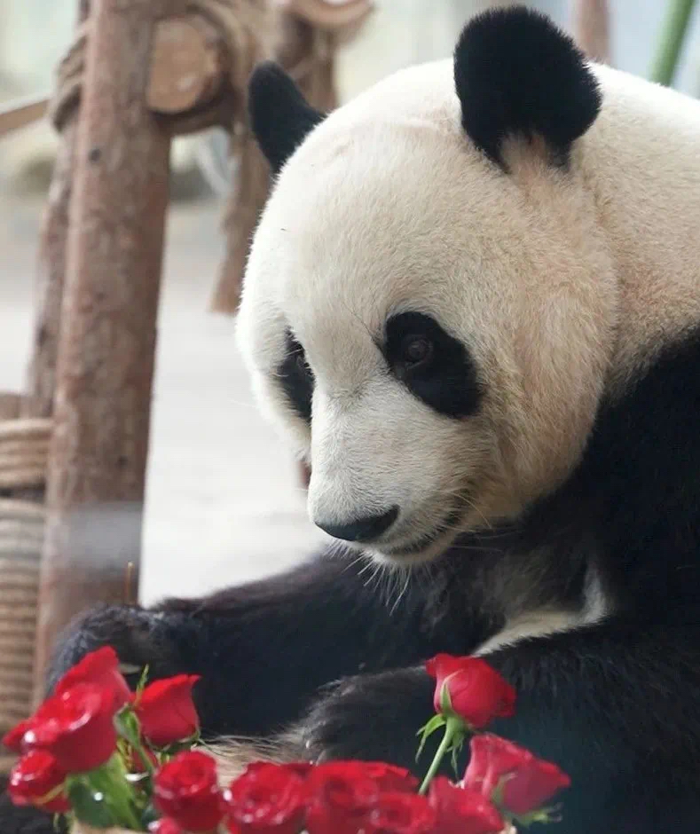 1740731907907243.jpeg WechatIMG1305.jpeg