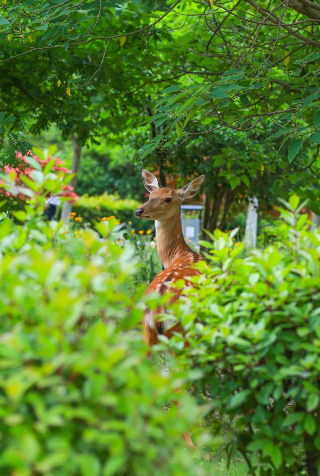 1740732045291945.jpeg WechatIMG1312.jpeg