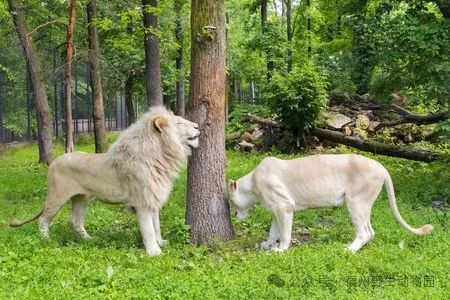 1740732058953831.jpg 5fb05731c29adc939a85357640f8266f.jpg