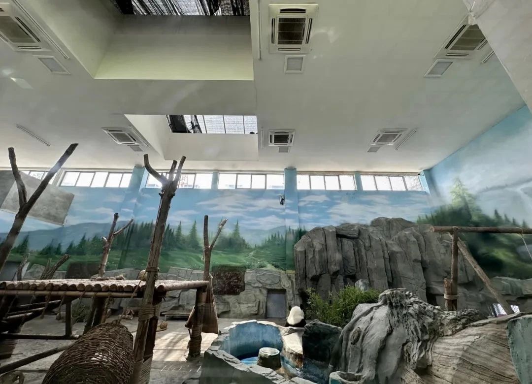 1740732163468495.jpg 88a89cfbf2e6d7c971162e827322ad05.jpg