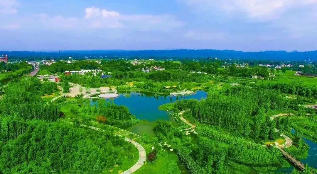 1743649789303804.jpg 湿地公园.jpg