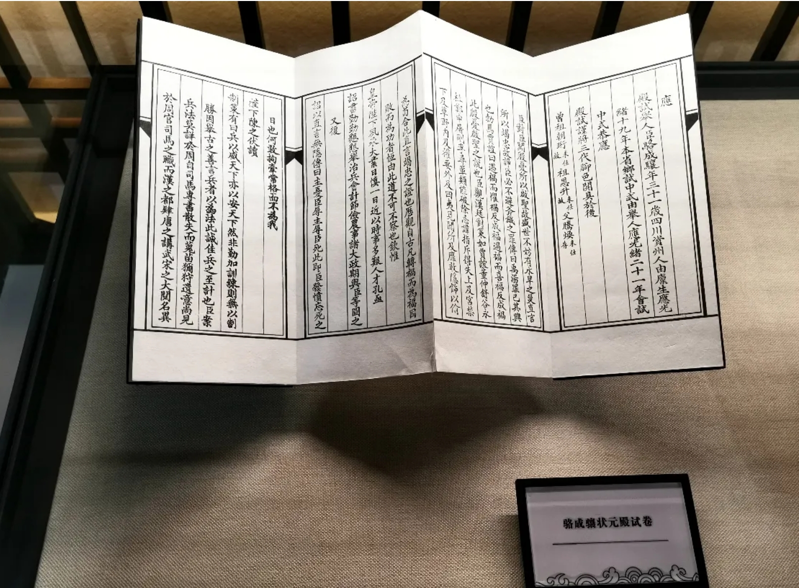 杨04032.jpg