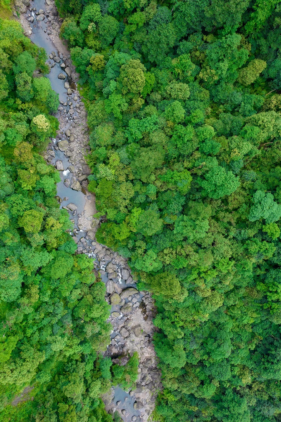 -大相岭保护区-by董磊-DJI_0323.jpg