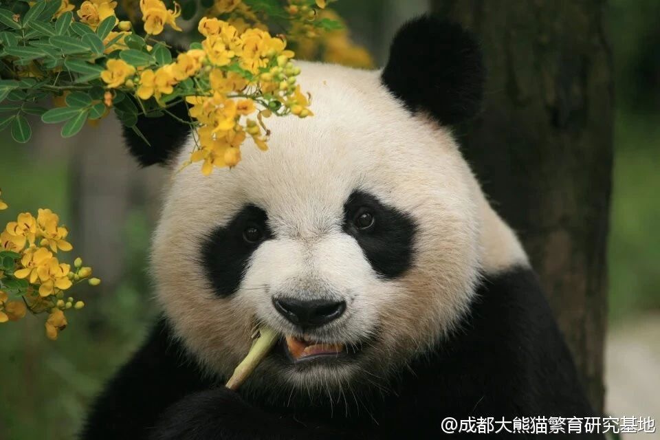 420a3b4a236d68dc13821c615809b033.jpg
