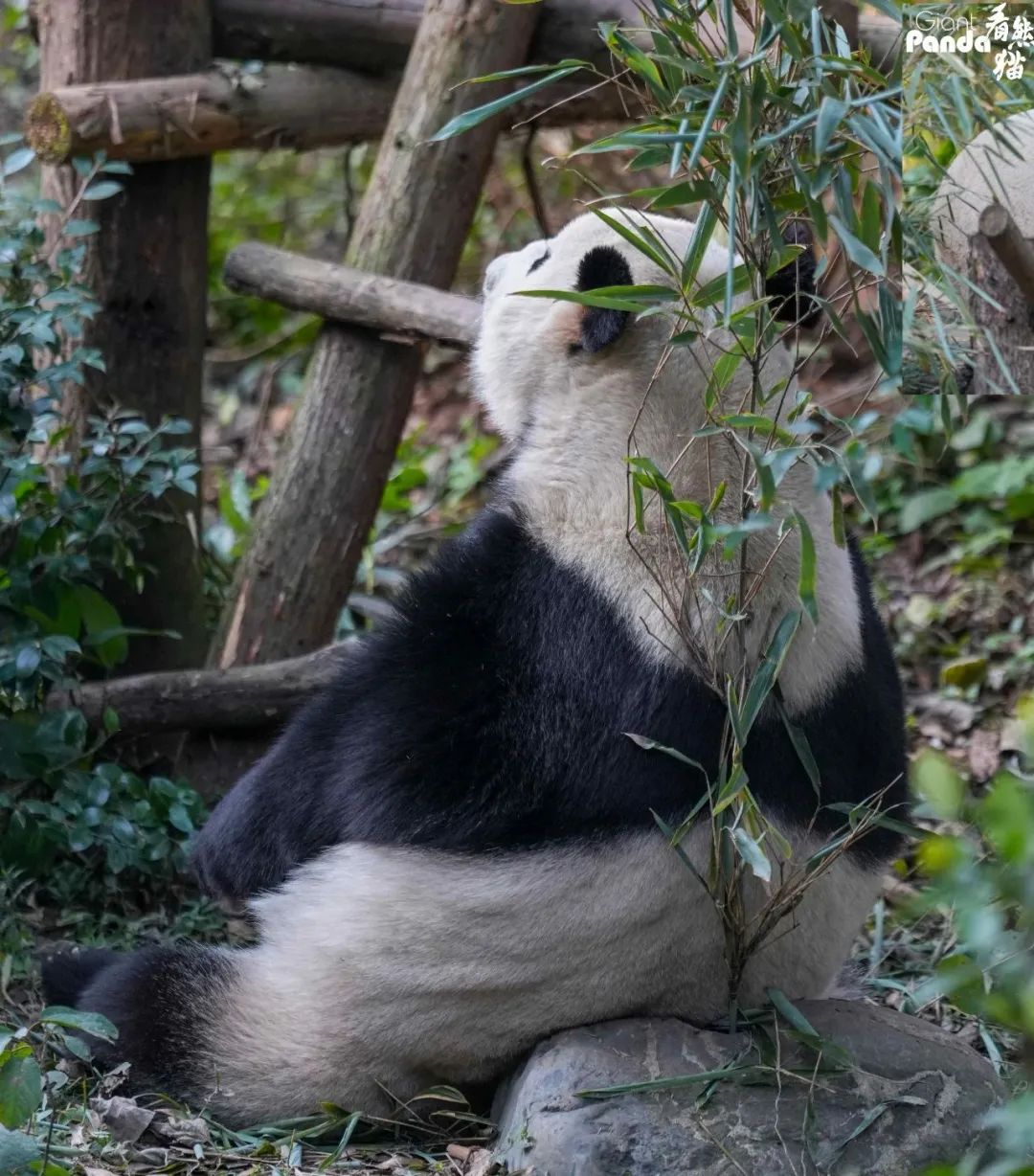 背影.jpg