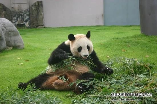 1751012677429181.jpg bb1fe1e2ec9183622252ab72d44e51d2.jpg