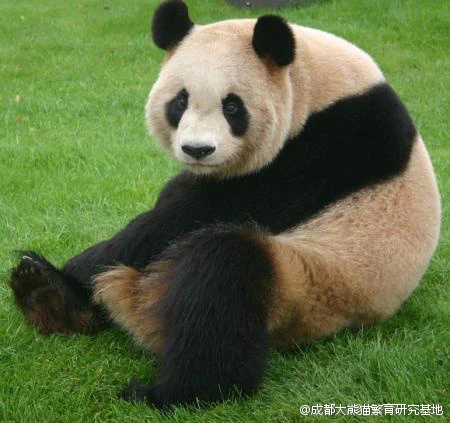 1751012708211020.jpg bd632e2562f034874f2d41ba0e453dc7.jpg