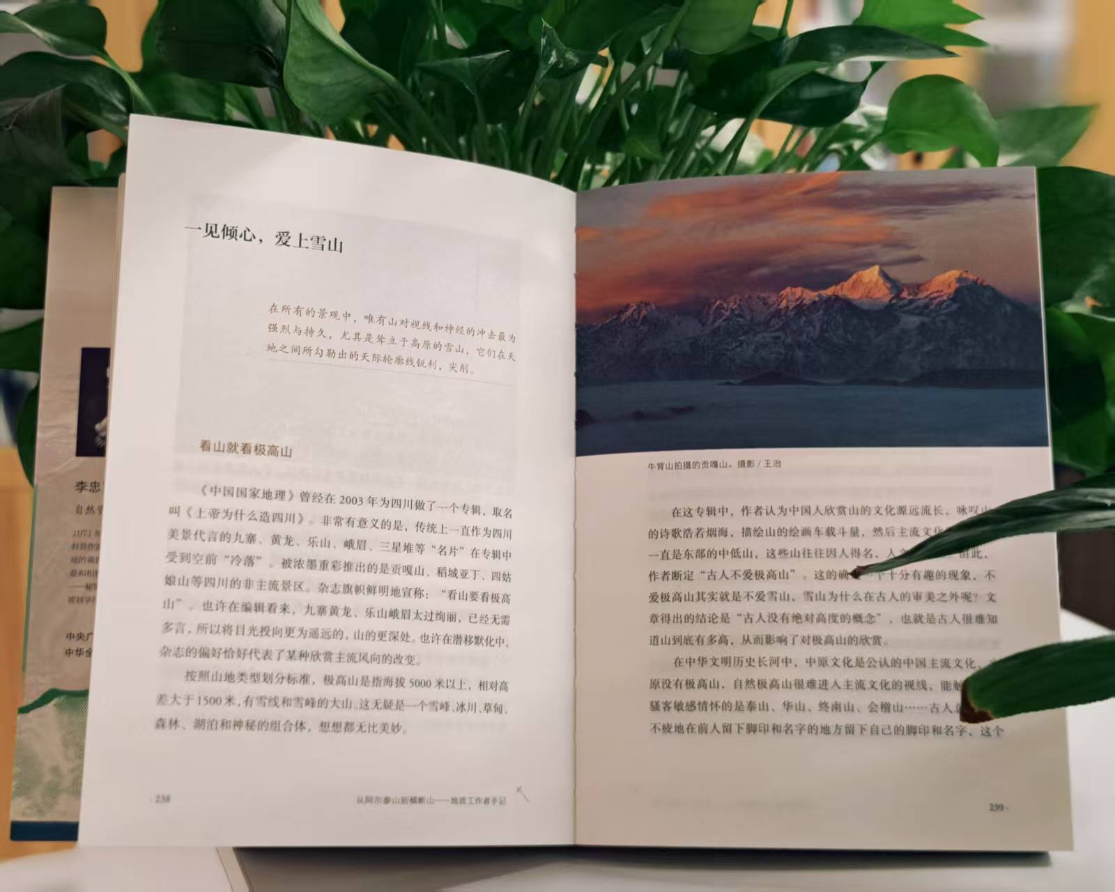 微信图片_20250712232350.jpg