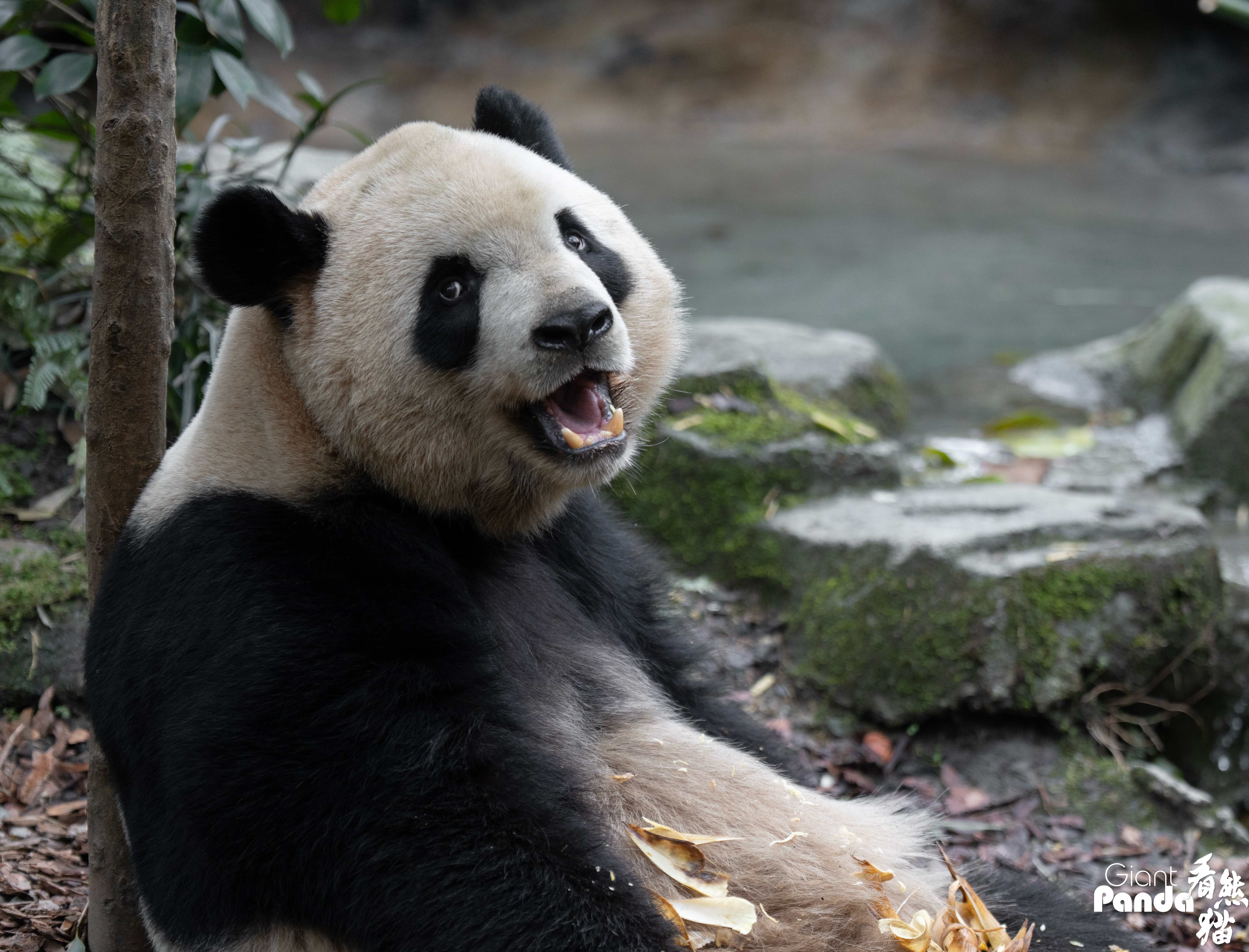 DSC08744 拷贝_副本.jpg