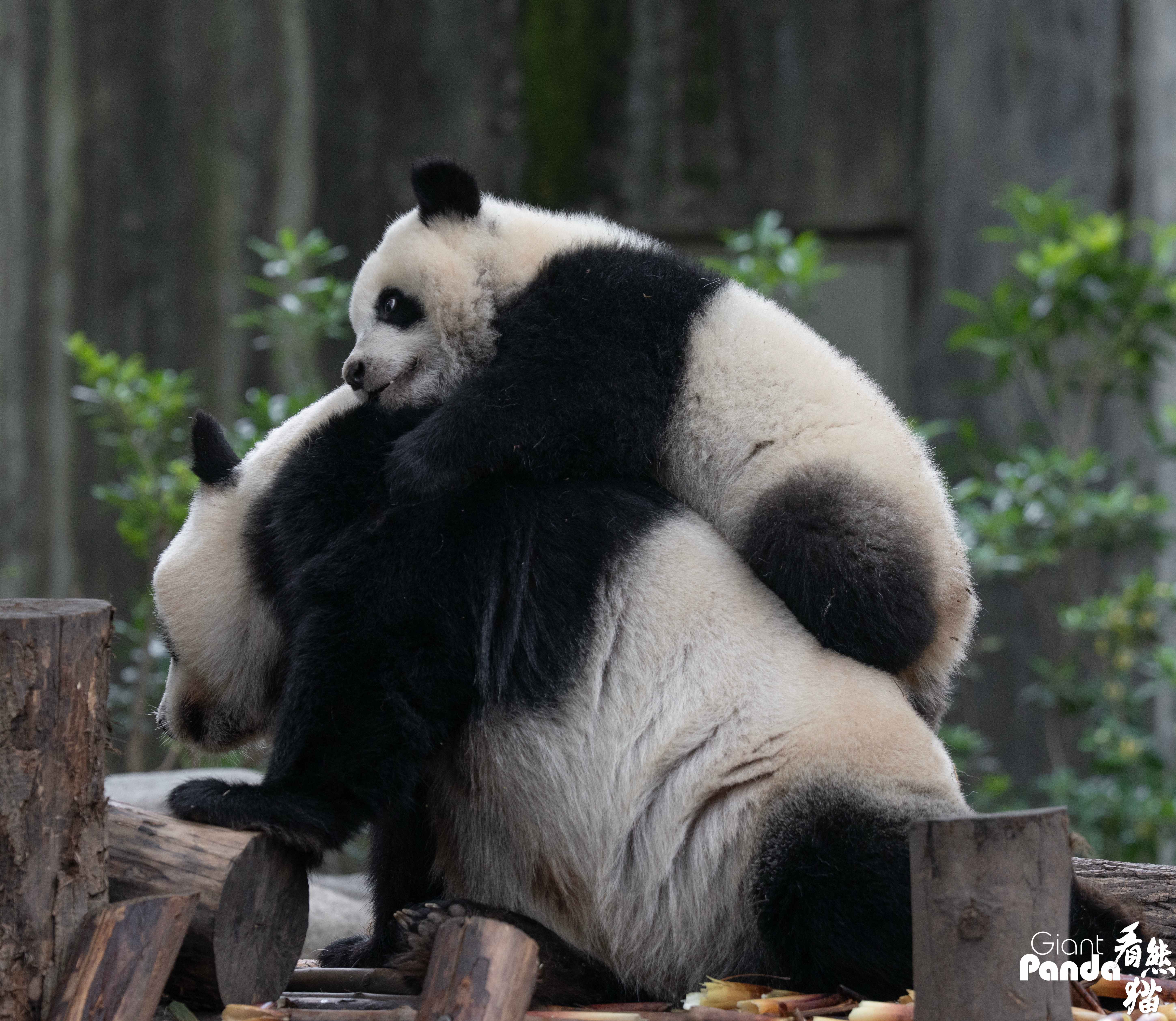 DSC05496 拷贝_副本.jpg