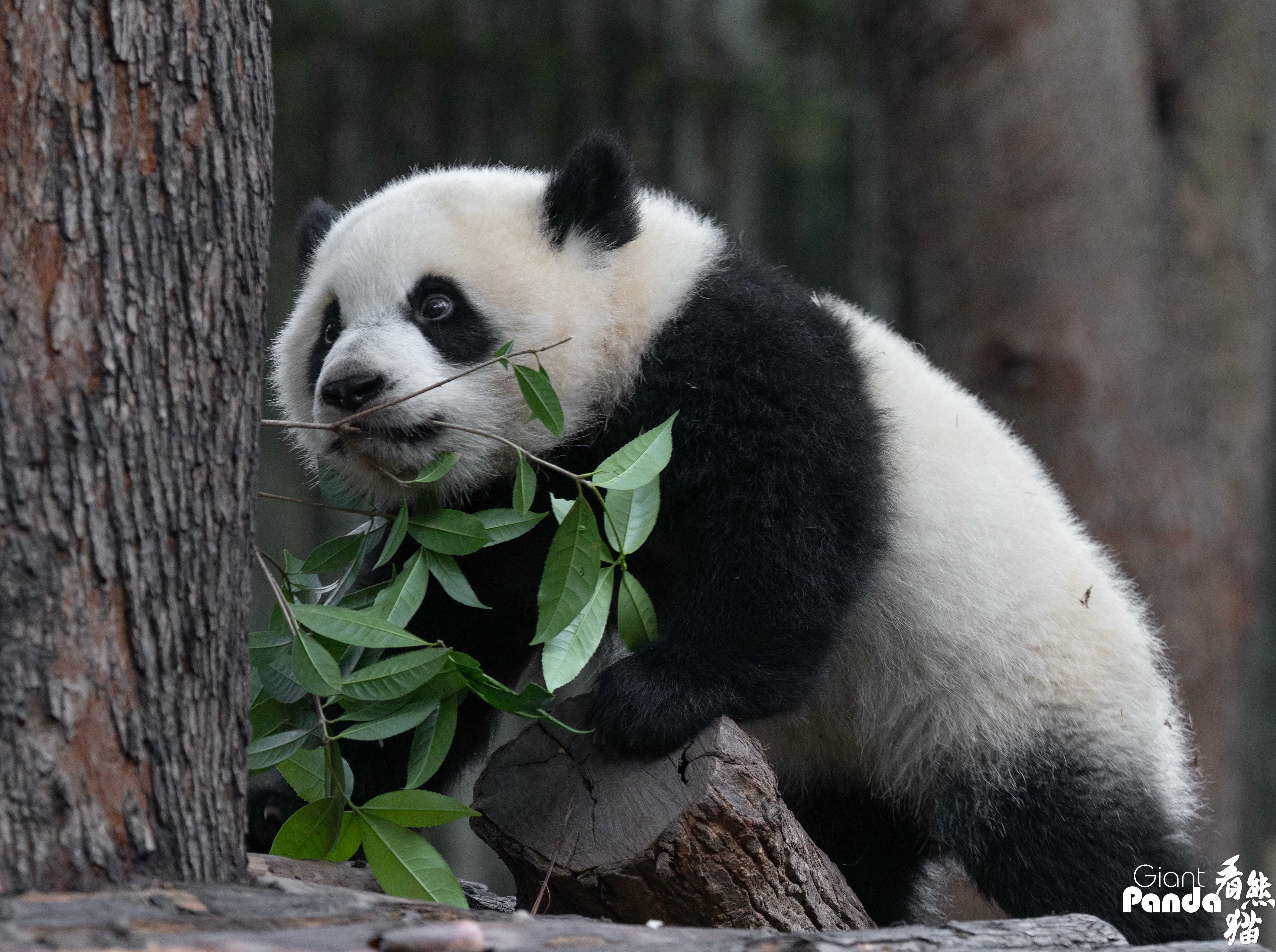 DSC05501 拷贝_副本.jpg