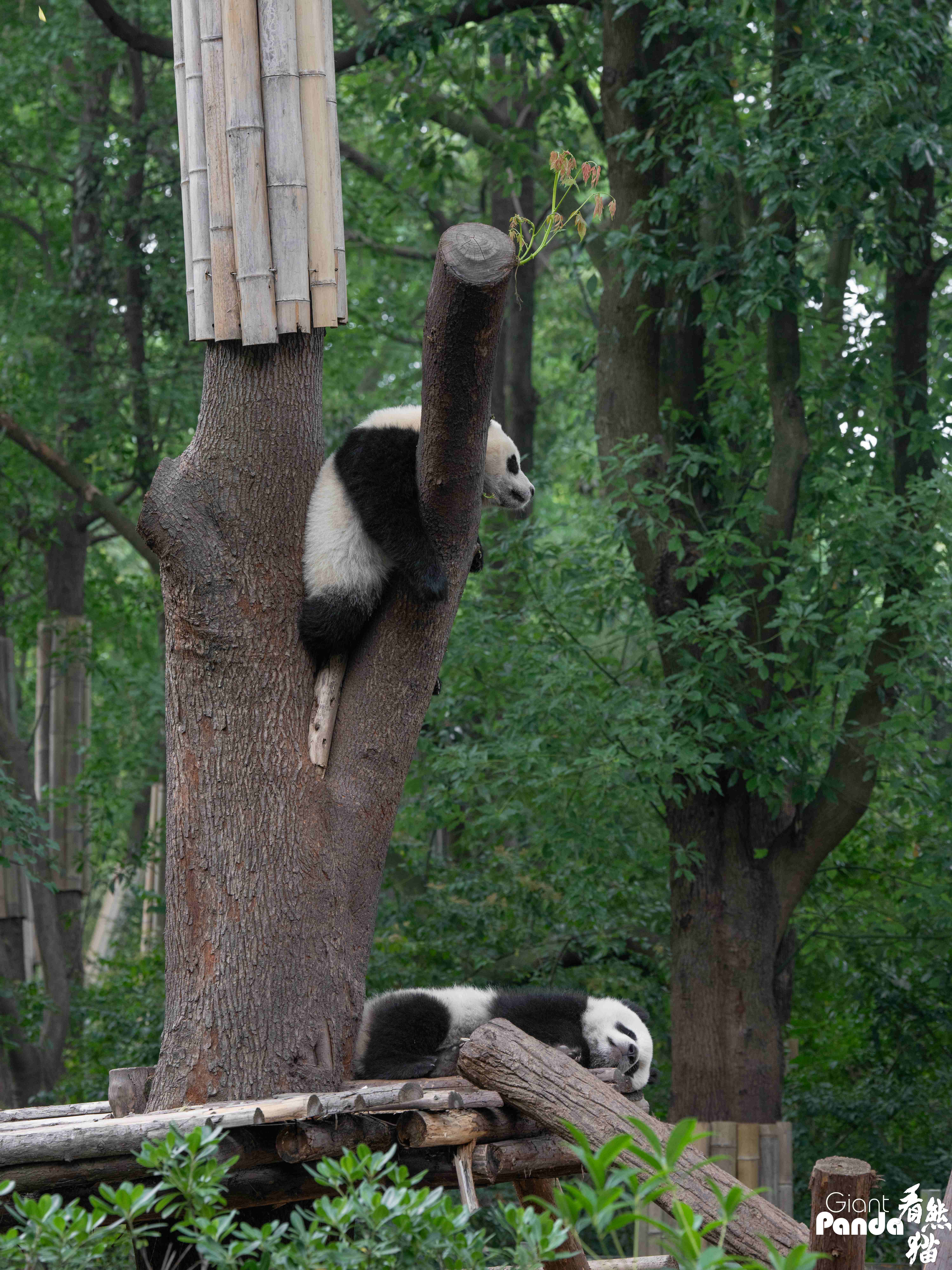 DSC08878 拷贝_副本.jpg