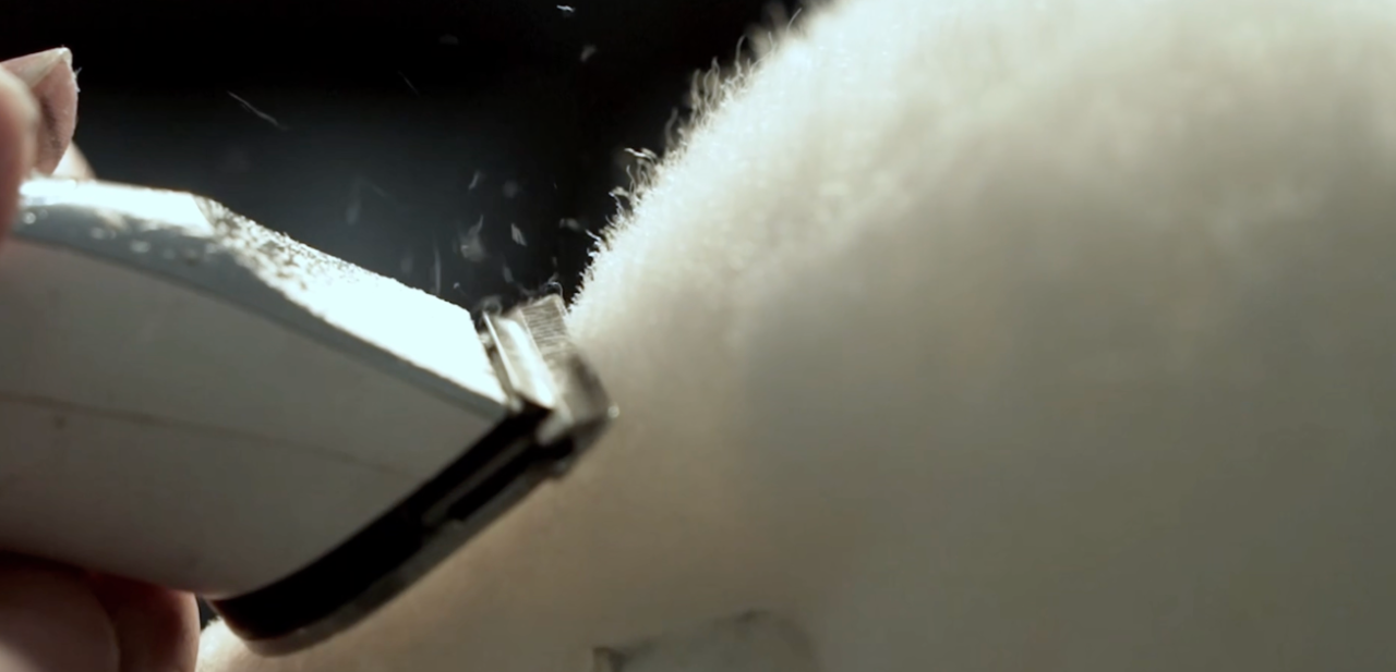 1754038478743414.jpg 89d77a14f4adf49e4d7890aa170b2d44.jpg