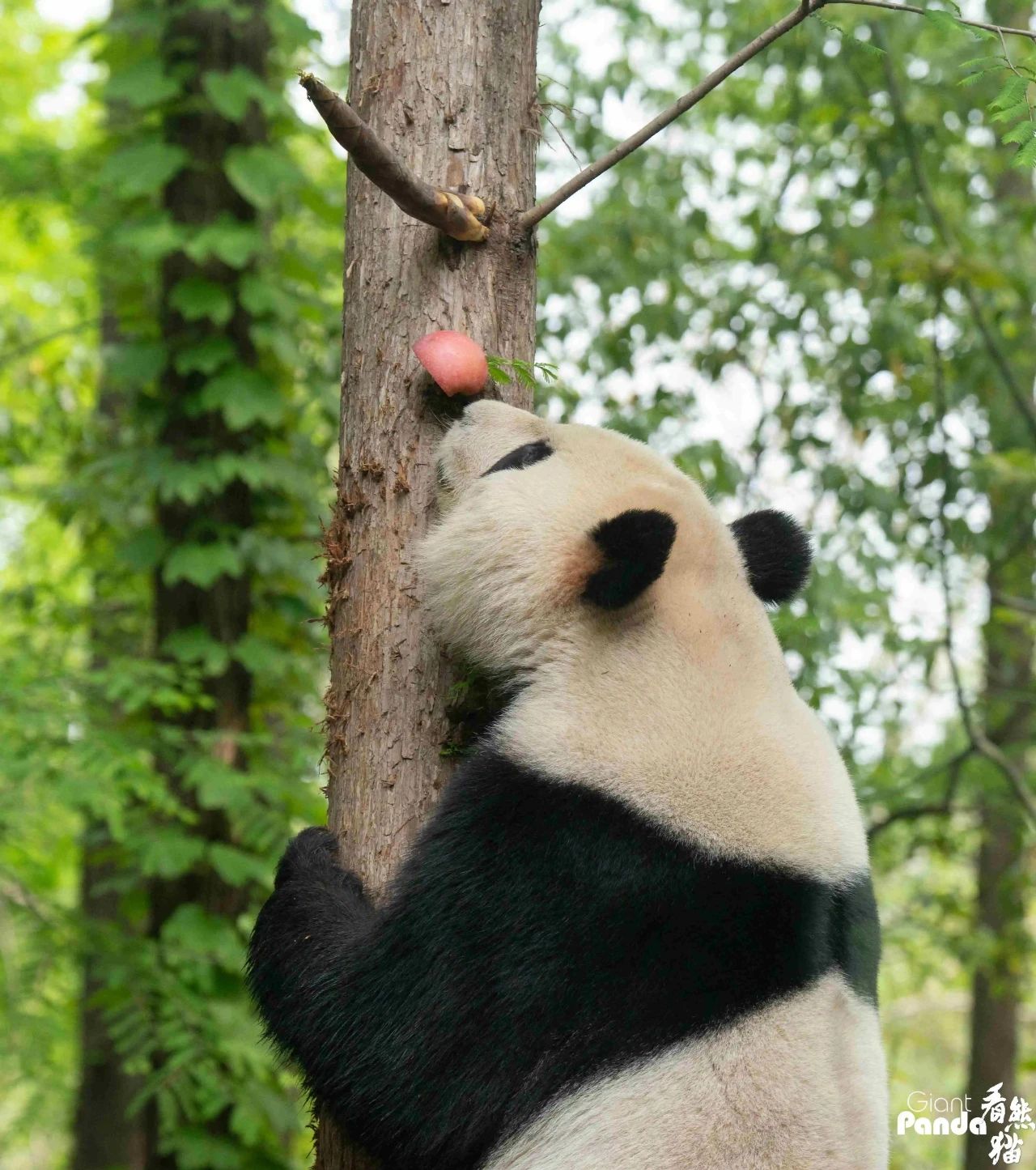 1755231675858169.jpg 7cf5767b8b04581b298917eb163468df.jpg