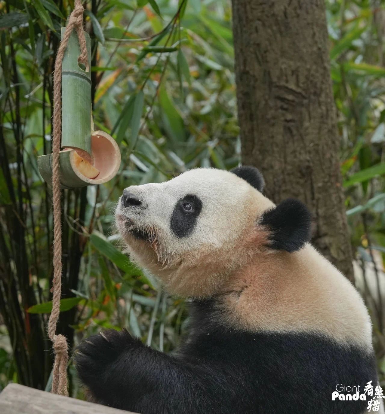 1755231682275712.jpg 73b72864002738ed6da506d5726aae9b.jpg