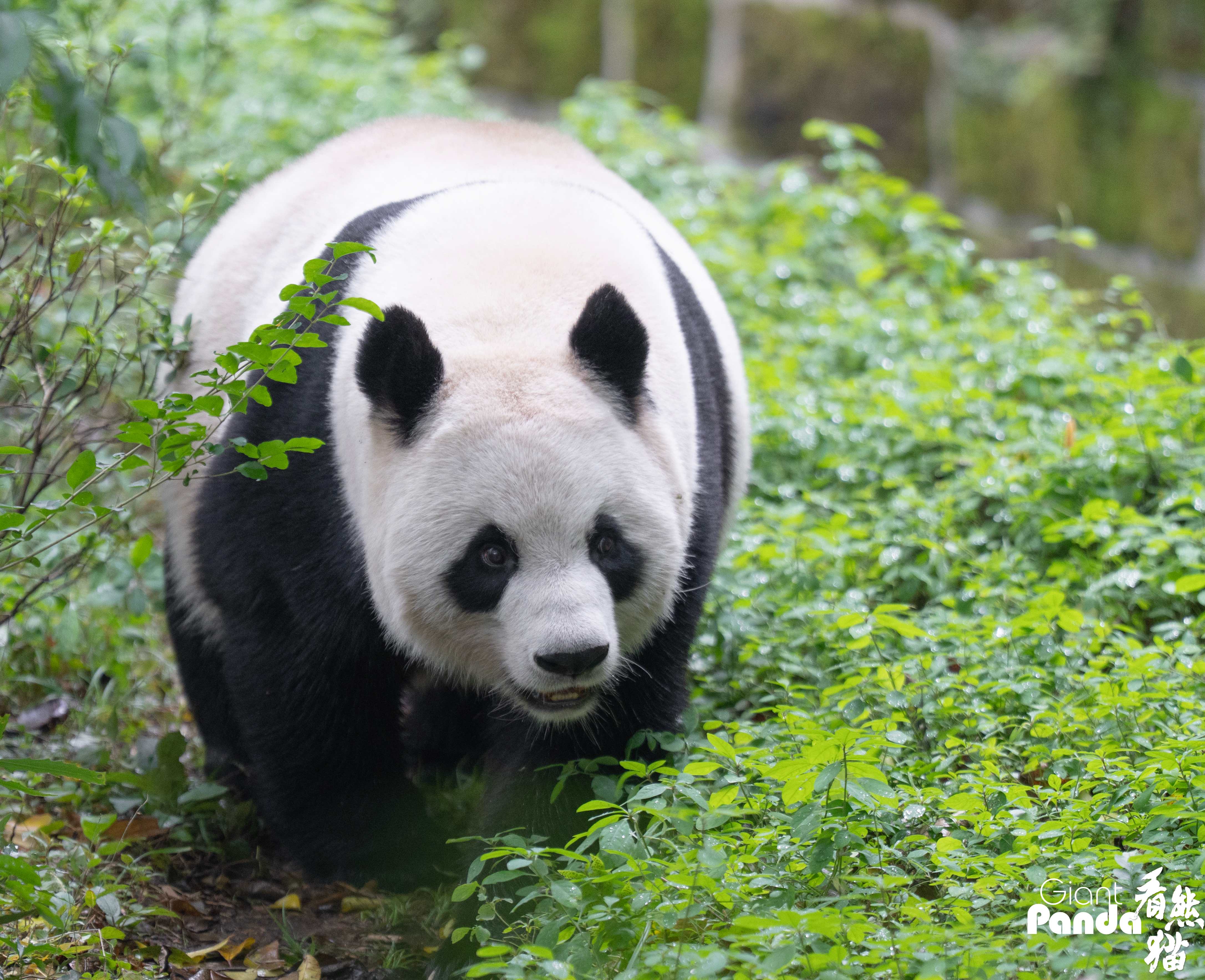 DSC01552 拷贝_副本.jpg