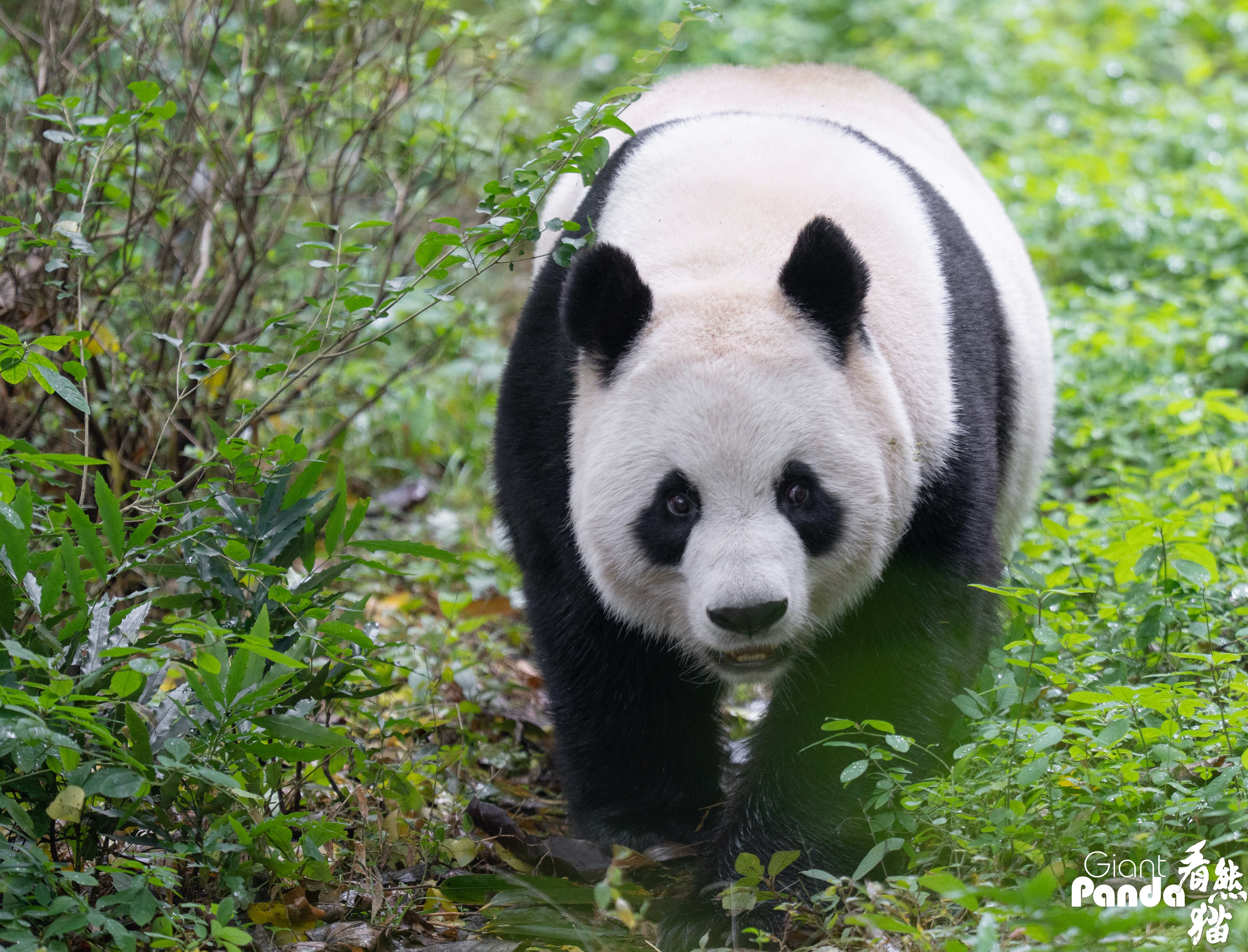 DSC01556 拷贝_副本.jpg