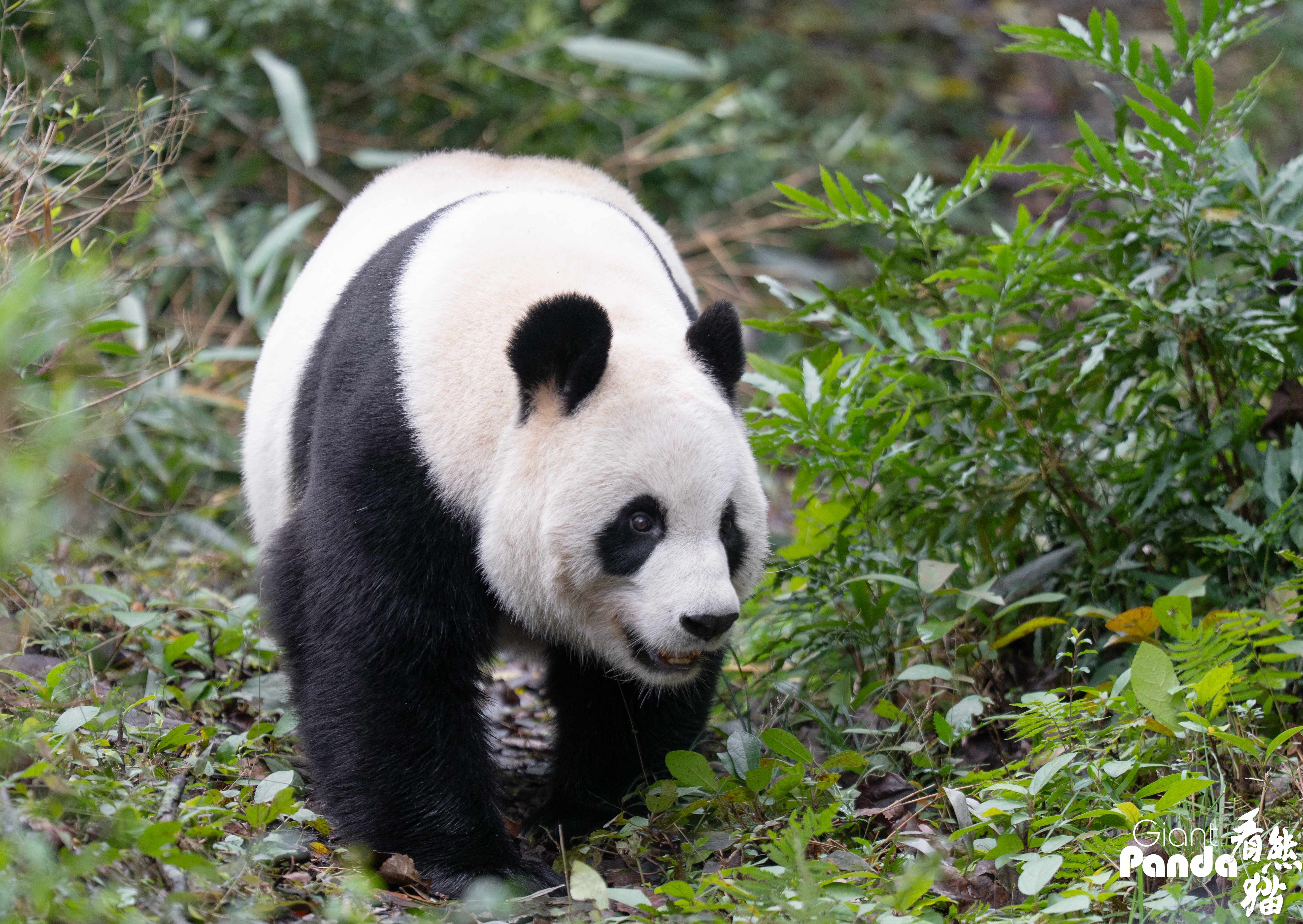 DSC01564 拷贝_副本.jpg