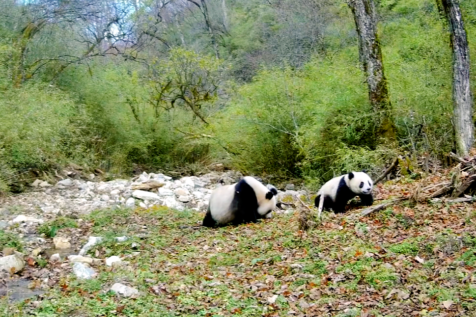 微信图片_2025-08-29_092456_964.png