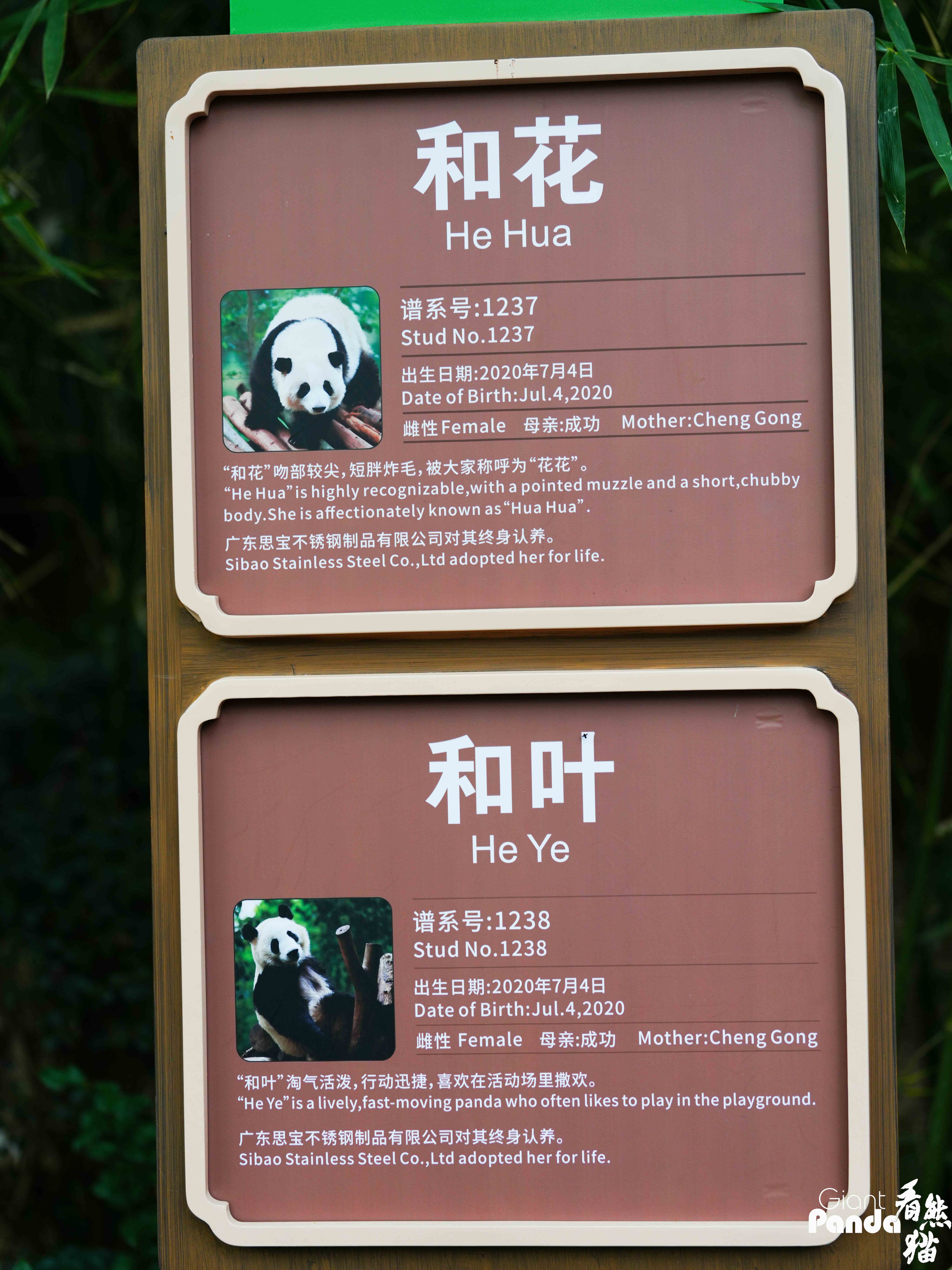 DSC08213_副本_副本.jpg