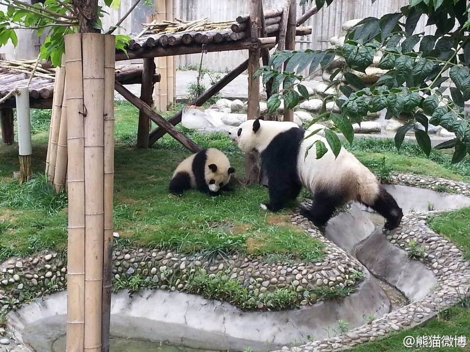 1757399809219184.jpg 6b2dfe1djw1e61bbwkdqej20qo0k0dn3.jpg