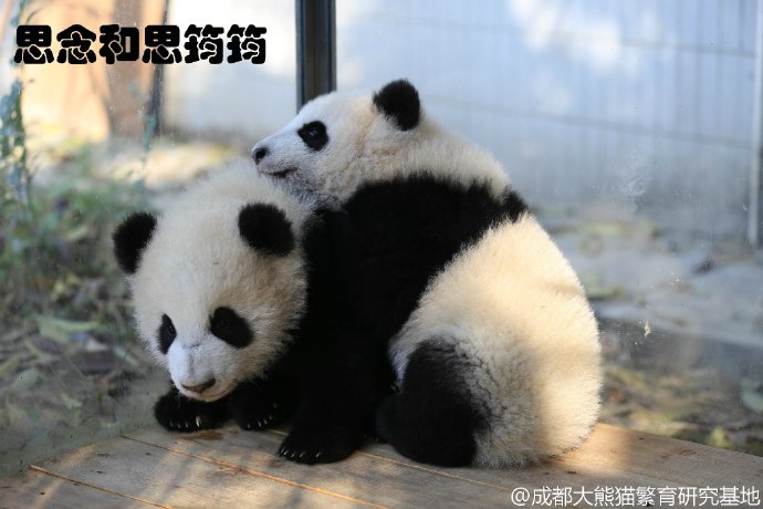 1757399870294181.jpg 6b2dfe1dgw1f0picxcgx4j21kw11xajz.jpg