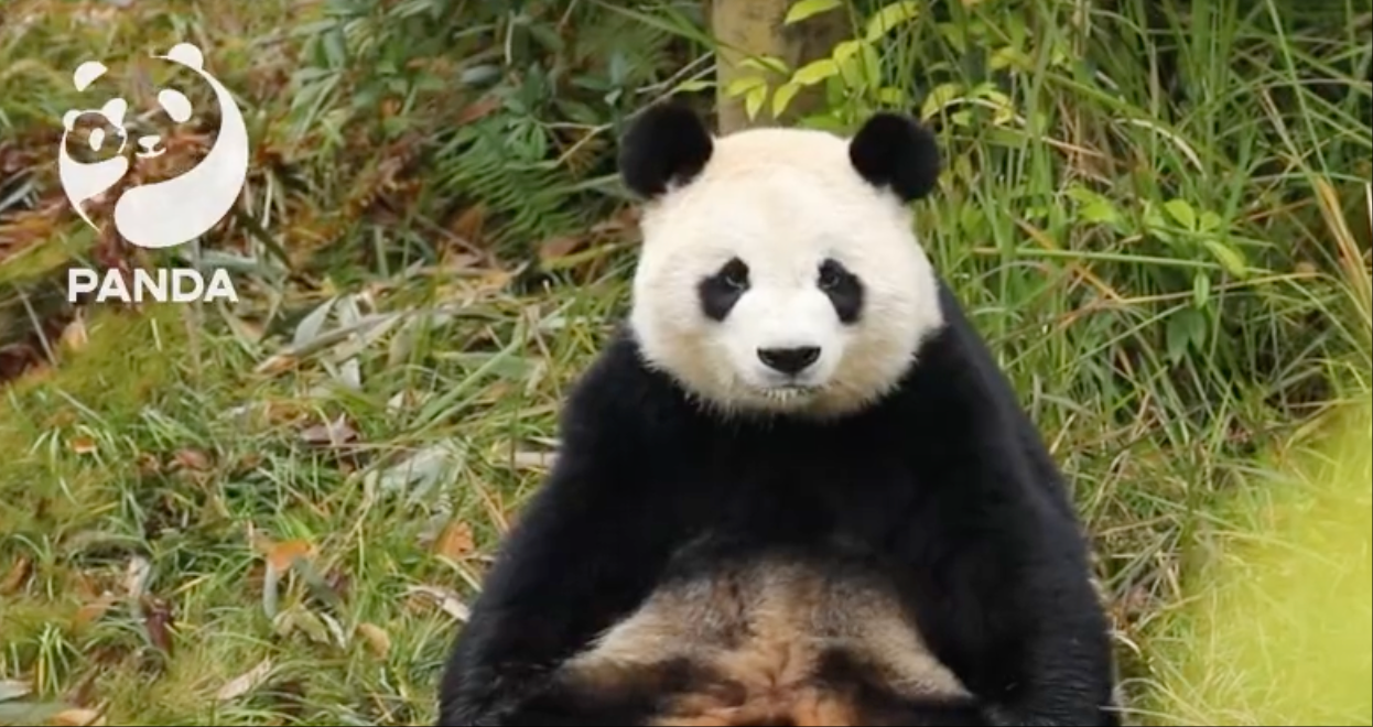 1757399921767788.png wechat_2025-09-09_142054_305.png