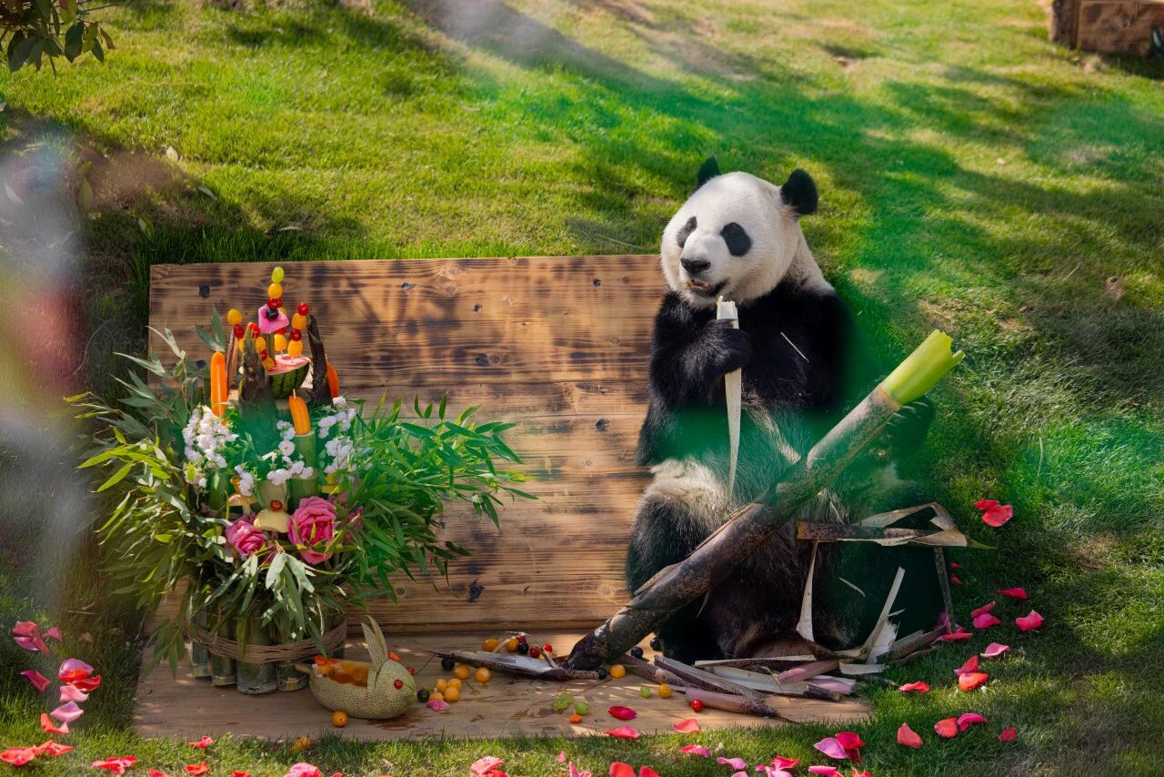 微信图片_2025-09-11_145049_945.jpg
