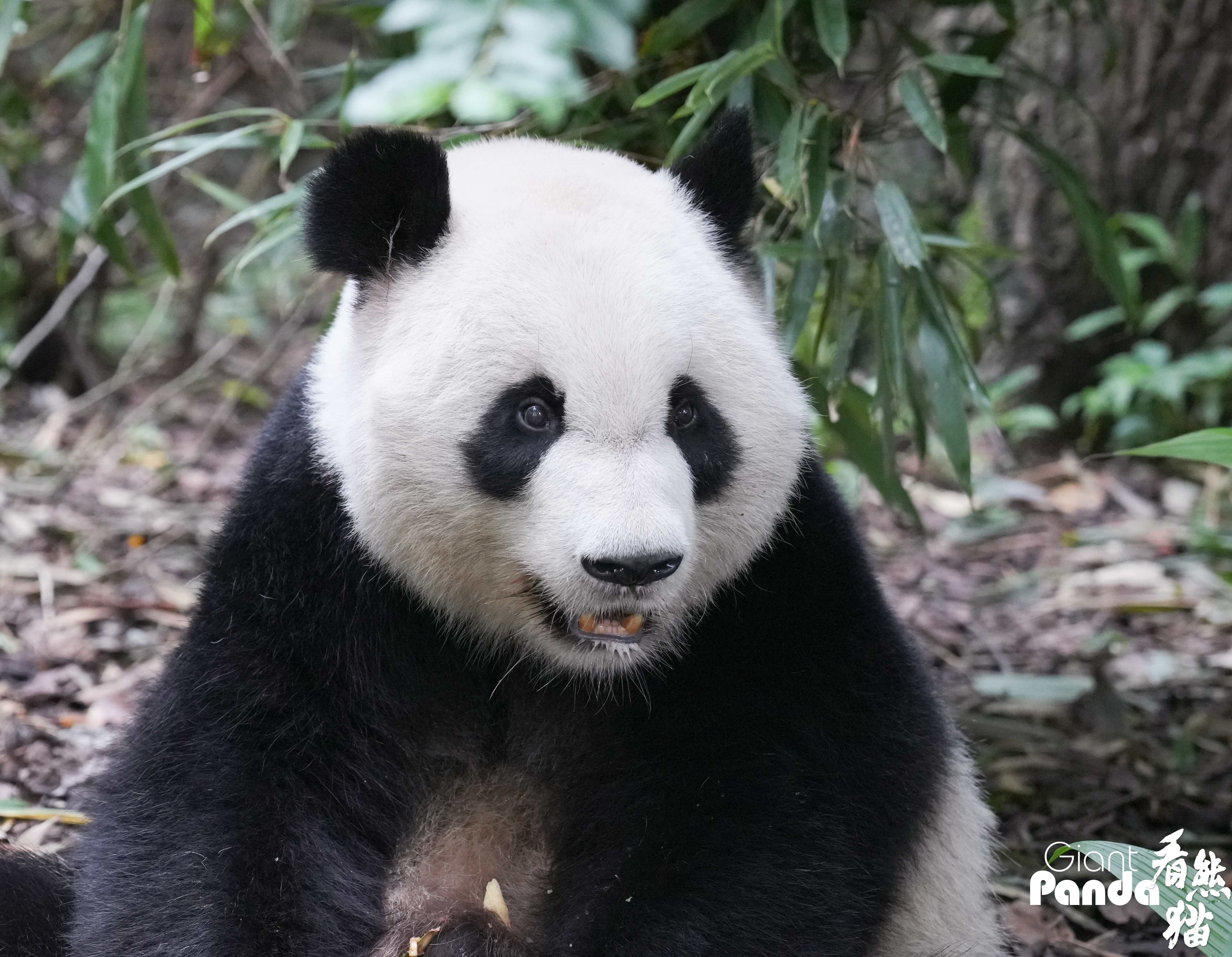 DSC04975_副本.jpg
